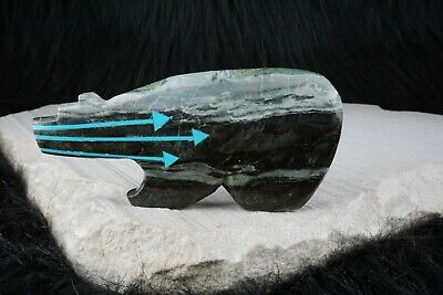 Bear Zuni Fetish Carving - Bernard Laiwakete - High Lonesome Trading