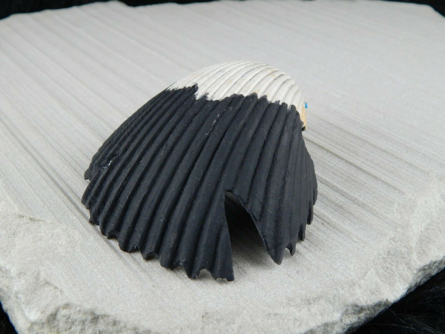 Eagle Zuni Fetish Carving - Kelly Lementino - High Lonesome Trading