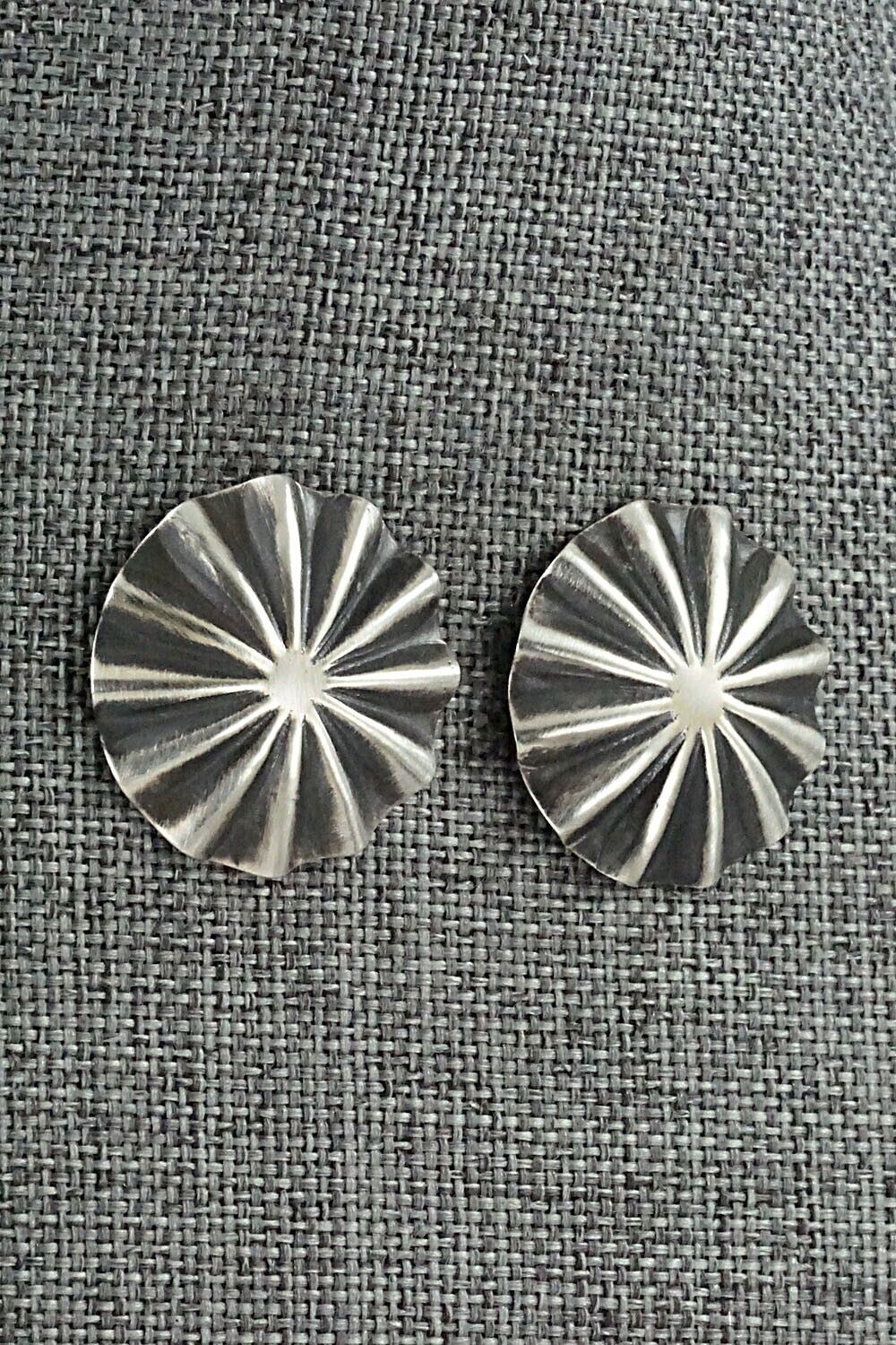 Sterling Silver Earrings - Arlene Soce