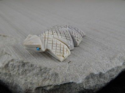 Lizard Zuni Fetish Carving - Carl Etsate - High Lonesome Trading