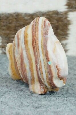 Fish Zuni Fetish Carving - Daphne Quam