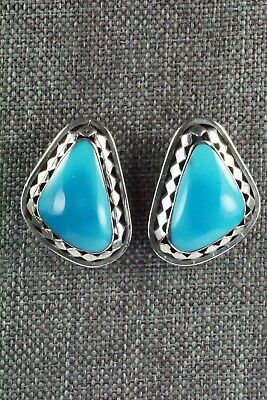 Turquoise and Sterling Silver Earrings - Sharon McCarthy