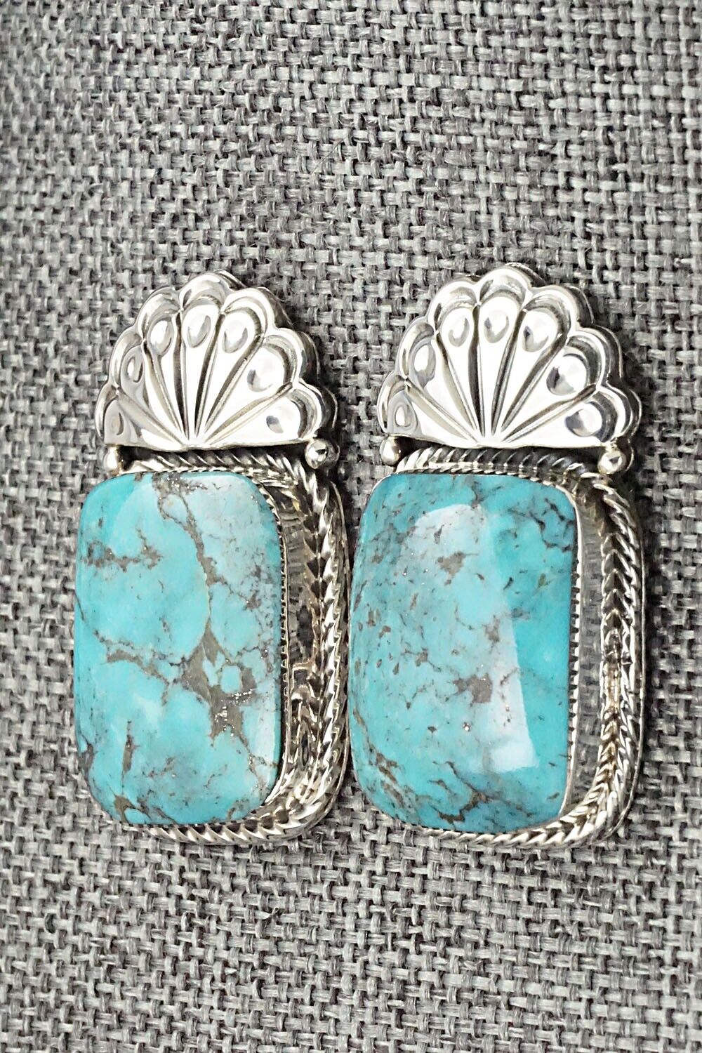 Turquoise & Sterling Silver Earrings - Sheena Jack
