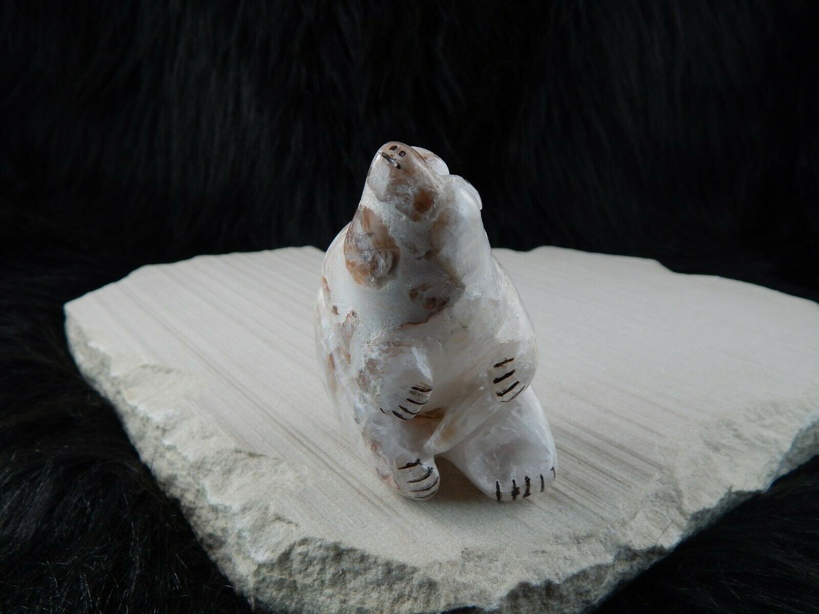 Bear Zuni Fetish Carving - Kallestewa - High Lonesome Trading