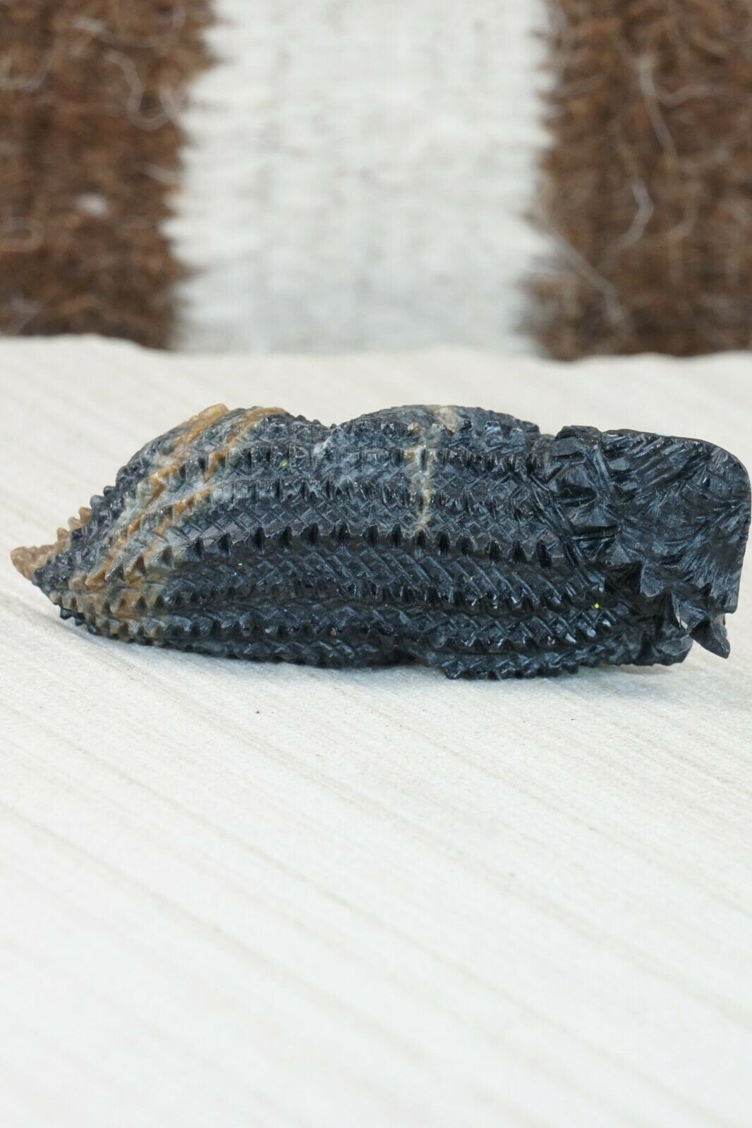 Horned Toad Zuni Fetish Carving - Alvin Haloo