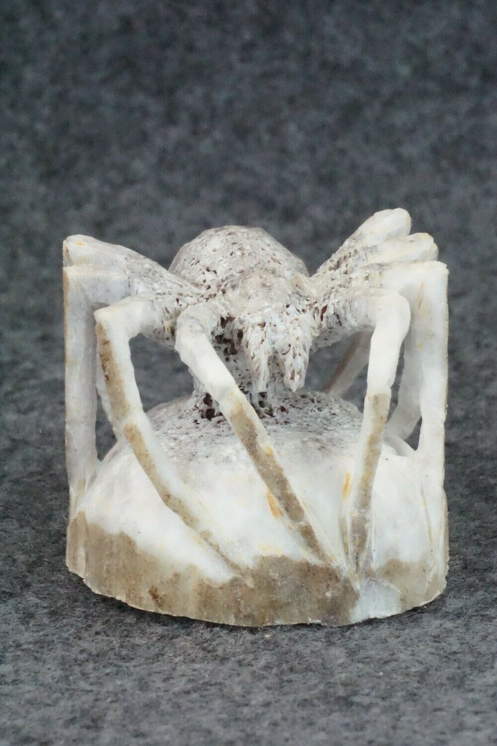 Spider Zuni Fetish Carving - Lewis Malie Jr.