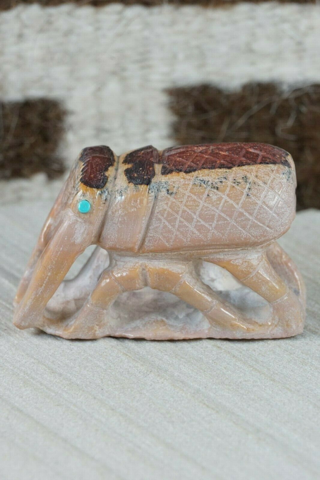 Beetle Zuni Fetish Carving - Derrick Kaamasee - High Lonesome Trading