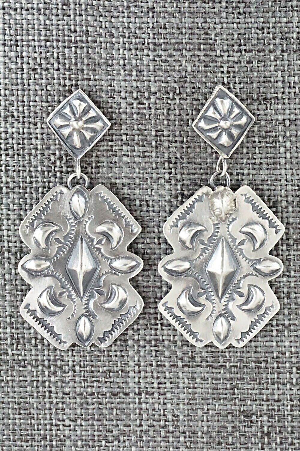 Sterling Silver Earrings - Terry Charlie
