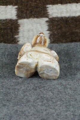 Bear Zuni Fetish Carving - Ariane Quam