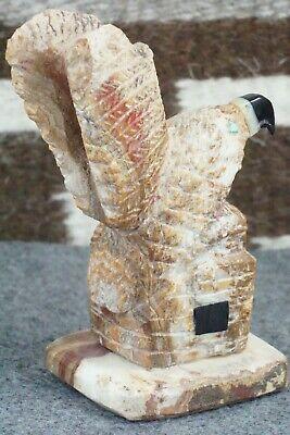 Eagle Zuni Fetish Carving - Jon Quam - High Lonesome Trading