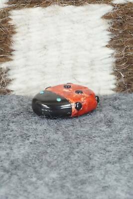 Lady Bug Zuni Fetish Carving - Reynold Lunasee