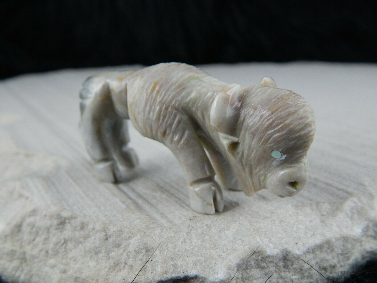 Buffalo Zuni Fetish Carving - Jonas Hastito - High Lonesome Trading