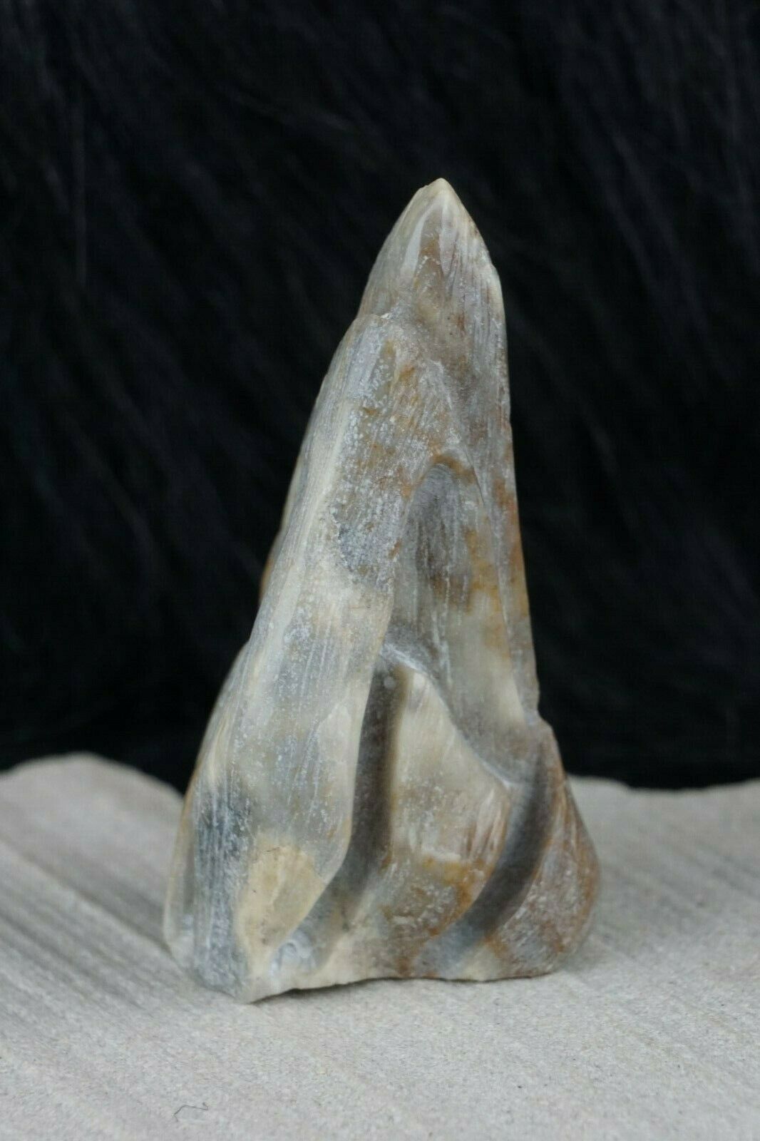 Corn Maiden Zuni Fetish Carving - Derrick Kaamasee - High Lonesome Trading