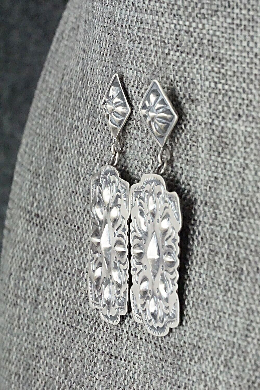 Sterling Silver Earrings - Terry Charlie