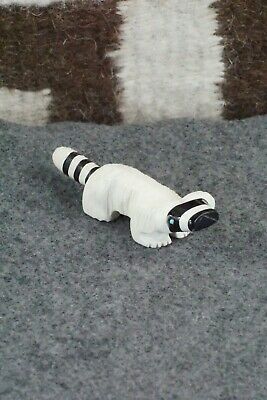 Racoon Zuni Fetish Carving - Suzette Lementino