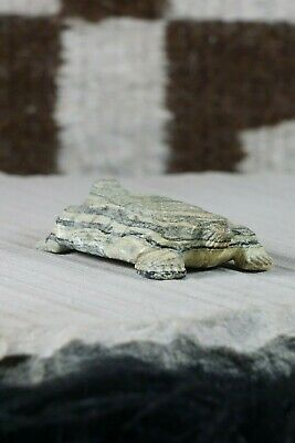 Turtle Zuni Fetish Carving - Herbert Him - High Lonesome Trading