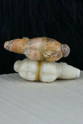 Bear Zuni Fetish Carving - Peter Gasper - High Lonesome Trading