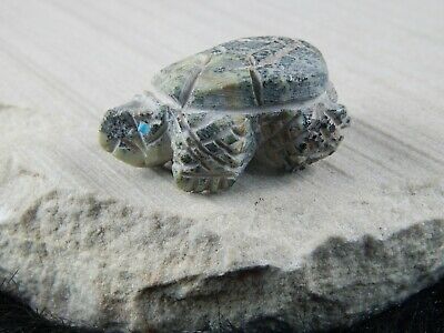 Turtle Zuni Fetish Carving - Jon Quam - High Lonesome Trading