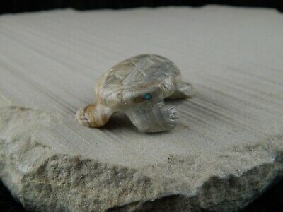 Turtle Zuni Fetish Carving - Wilfred Cheama - High Lonesome Trading