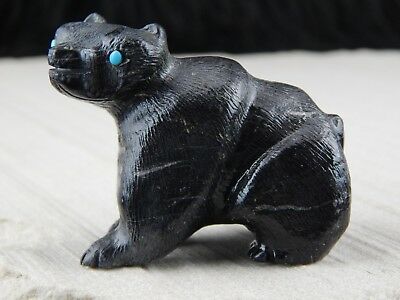Bear Zuni Fetish  Carving - Dane Malani - High Lonesome Trading