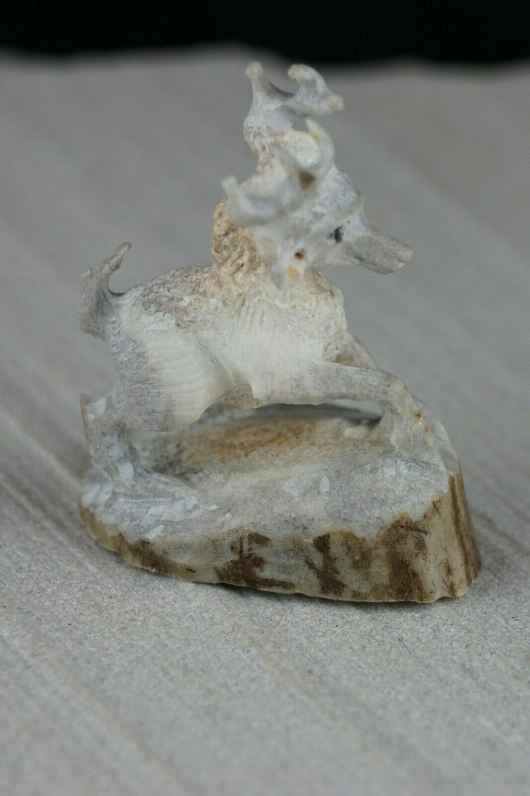 Deer Zuni Fetish Carving - Lewis Malie Jr. - High Lonesome Trading