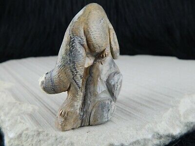 Mountain Lion Zuni Fetish - Lance Cheama - Zuni Mountain Lion Carving - High Lonesome Trading