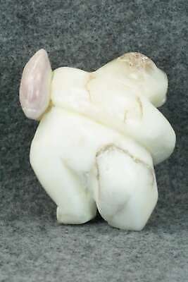 Bear Zuni Fetish Carving - Ariane Quam
