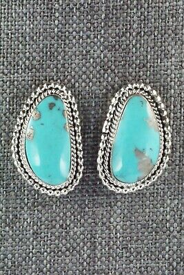Turquoise & Sterling Silver Earrings - Verley Betone