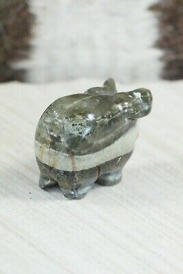 Pig Zuni Fetish Carving - Stanton Hannaweeke