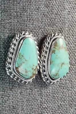 Turquoise and Sterling Silver Earrings - Sharon McCarthy