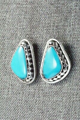 Turquoise and Sterling Silver Earrings - Sharon McCarthy