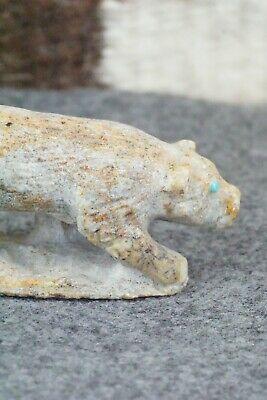 Mountain Lion Zuni Fetish Carving - Derrick Kaamasee - High Lonesome Trading