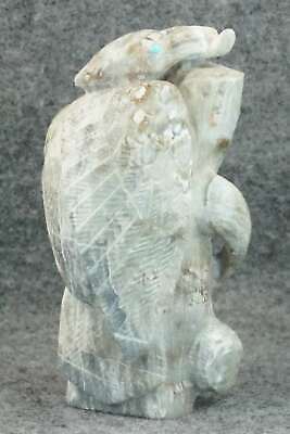 Wood Pecker Zuni Fetish Carving - Derrick Kaamasee