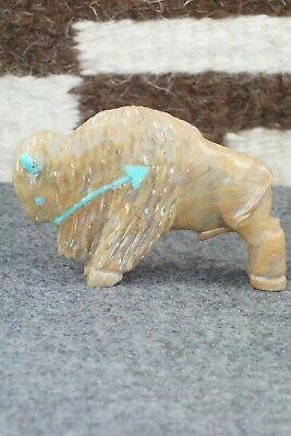 Buffalo Zuni Fetish Carving - Andres Quandelacy - High Lonesome Trading