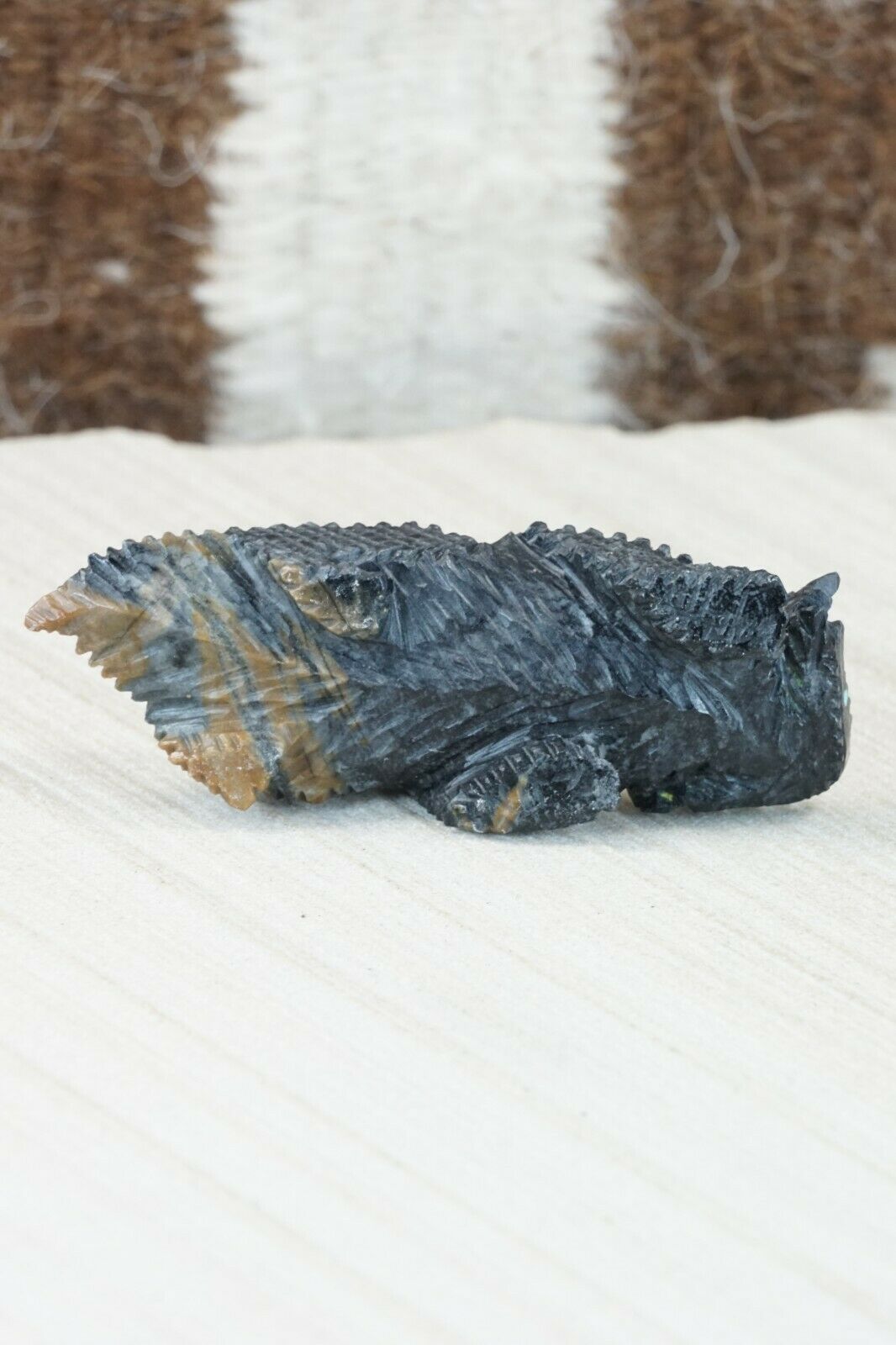 Horned Toad Zuni Fetish Carving - Alvin Haloo