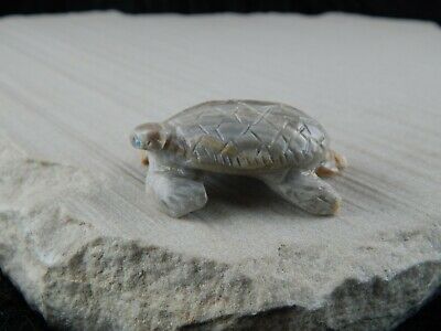 Turtle Zuni Fetish Carving - Wilfred Cheama - High Lonesome Trading