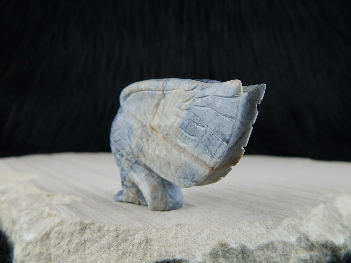 Eagle - Zuni Fetish - Cody Nastacio - Zuni Eagle Carving - Native American - High Lonesome Trading