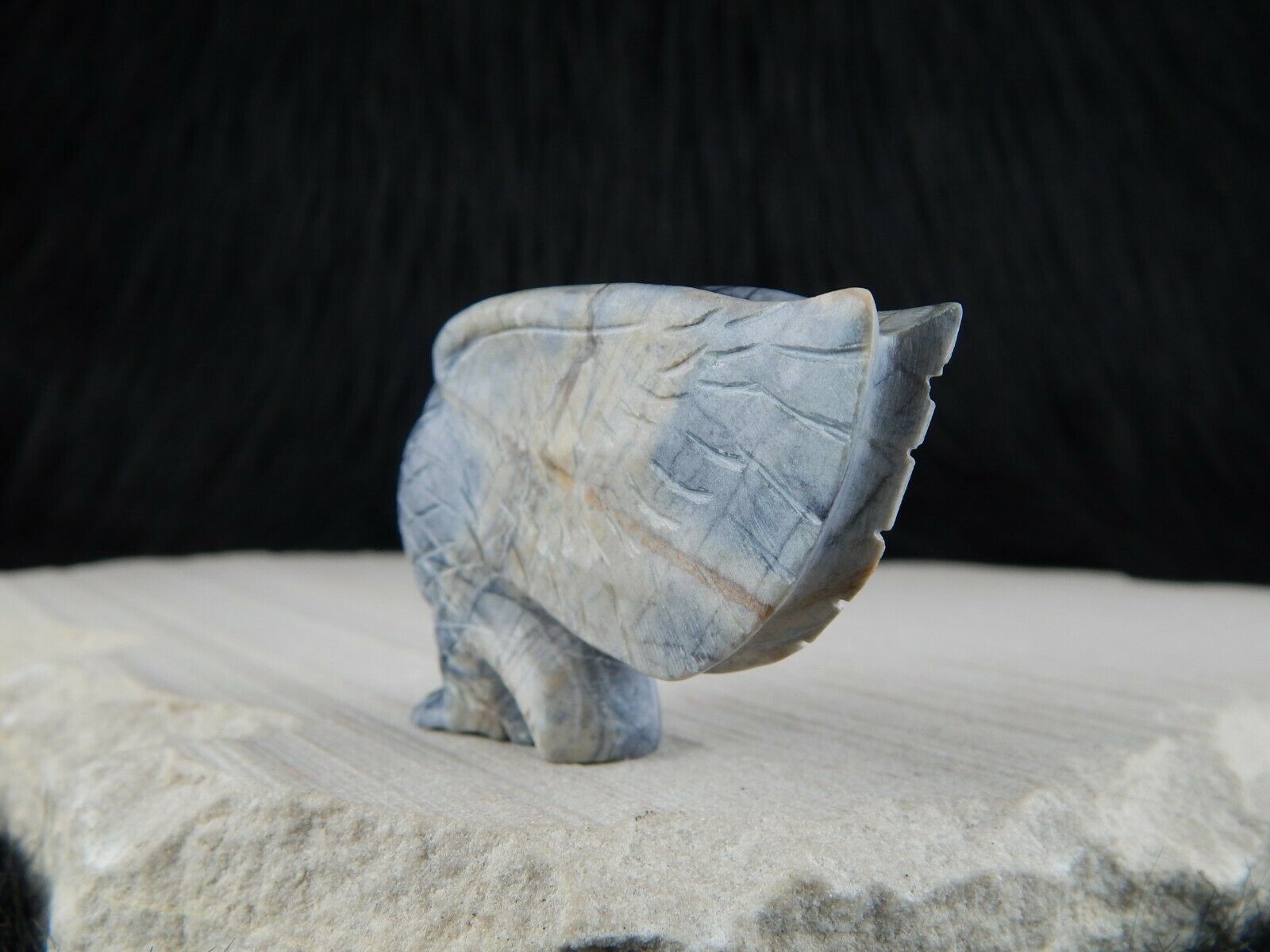 Eagle - Zuni Fetish - Cody Nastacio - Zuni Eagle Carving - Native American - High Lonesome Trading