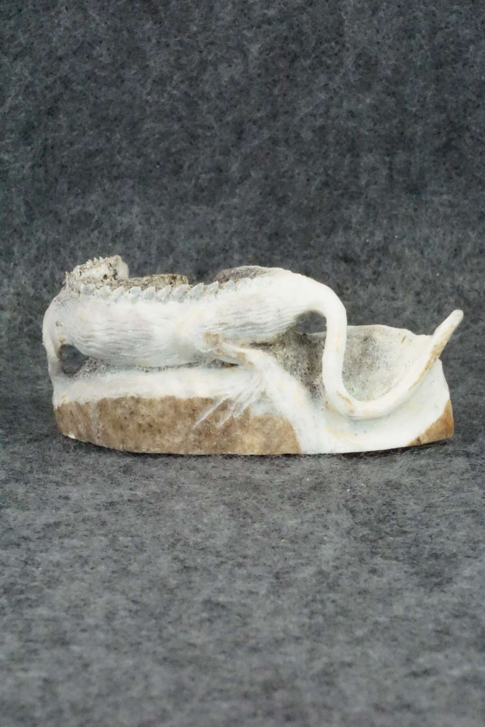 Iguana Zuni Fetish Carving - Lewis Malie Jr.