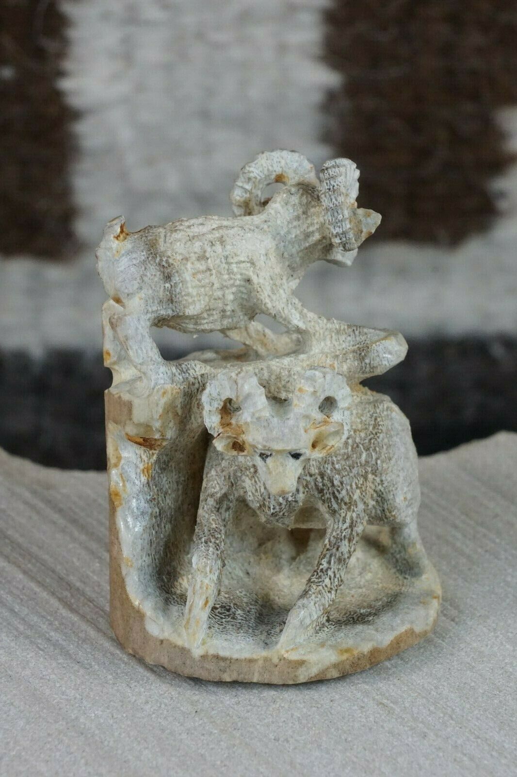Rams Zuni Fetish Carving - Lewis Malie Jr - High Lonesome Trading