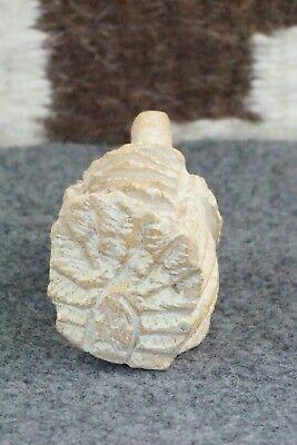 Turkey Zuni Fetish Carving - Jerrold Lahaleon - High Lonesome Trading