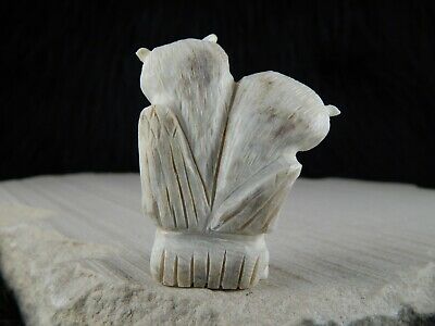 Owl - Zuni Fetish - Allison White - Zuni Owl Carving - Native American - High Lonesome Trading