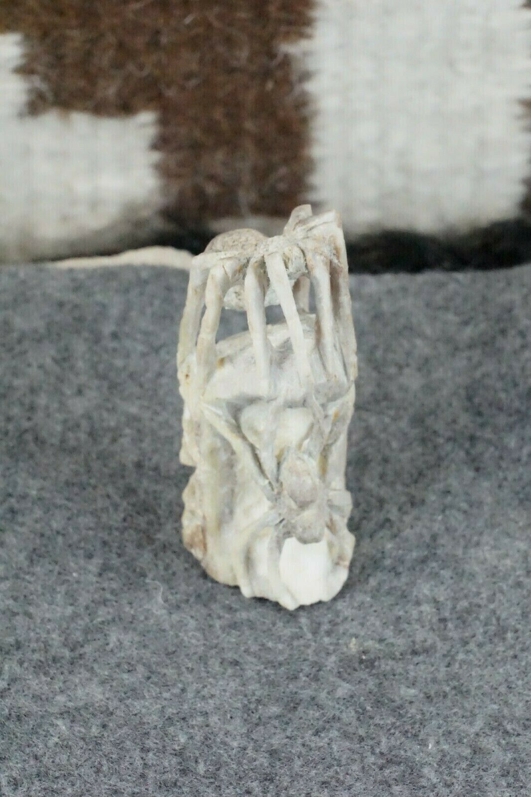 Spider Zuni Fetish Carving - Lewis Malie Jr.