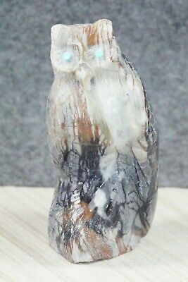 Owl Zuni Fetish Carving - Derrick Kaamasee