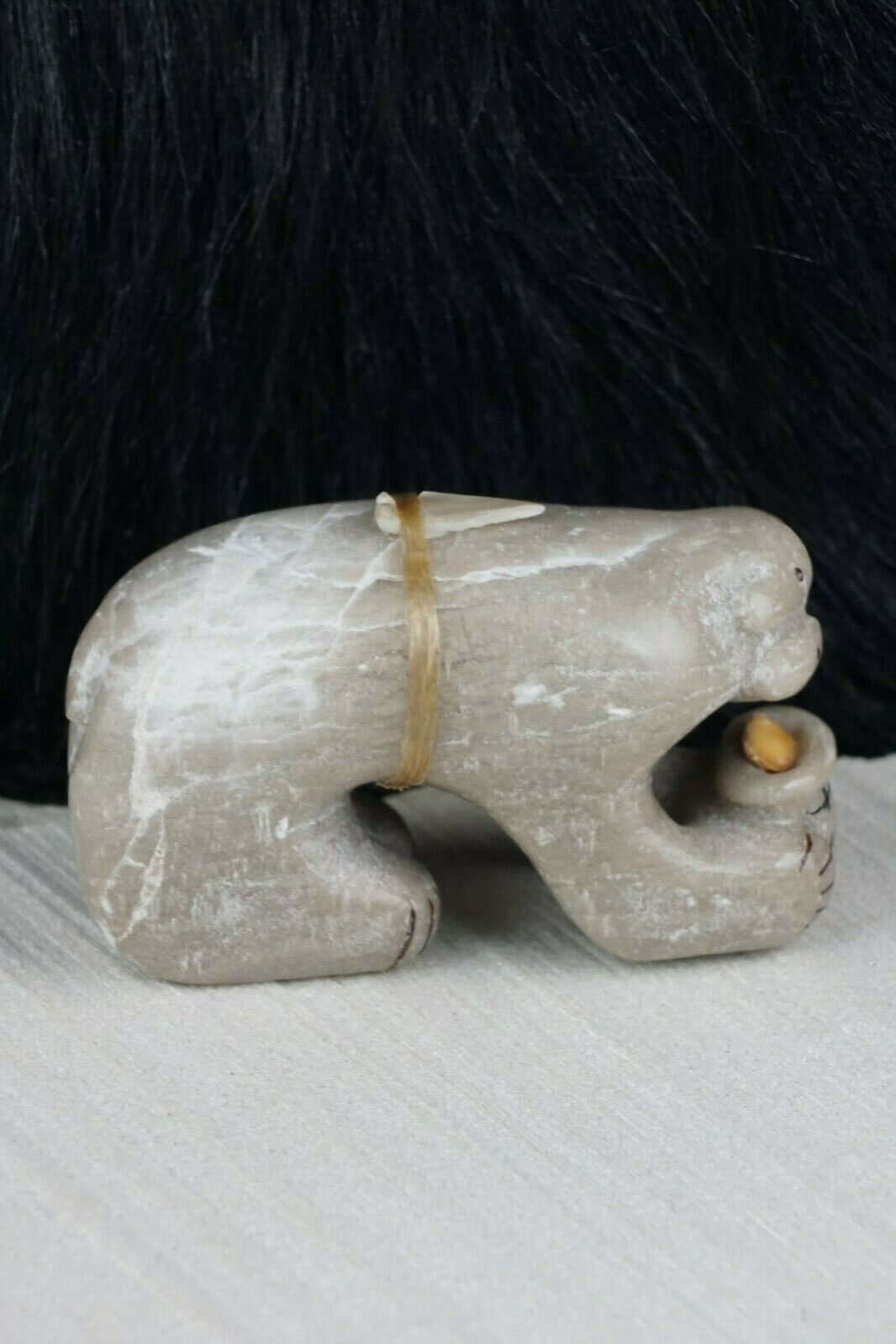 Bear Zuni Fetish Carving - Rick Kallestewa - High Lonesome Trading