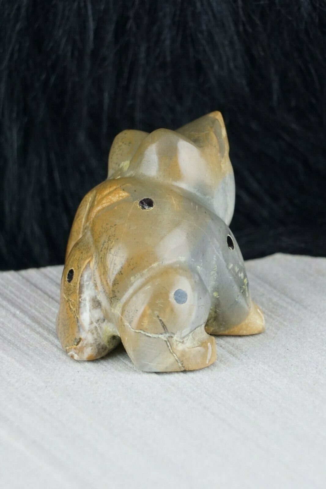 Frog Zuni Fetish Carving - Enrike Leekya - High Lonesome Trading