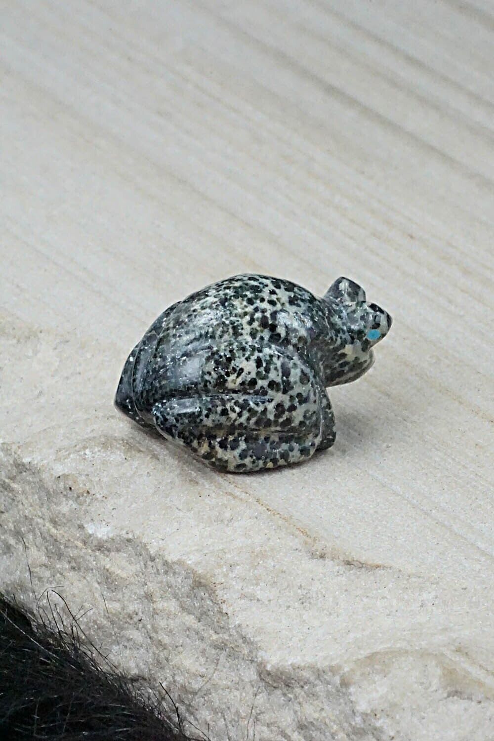 Frog Zuni Fetish Carving - Fred Weekoty