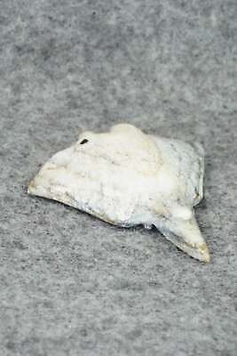 Stingray Zuni Fetish Carving - Derrick Kaamasee