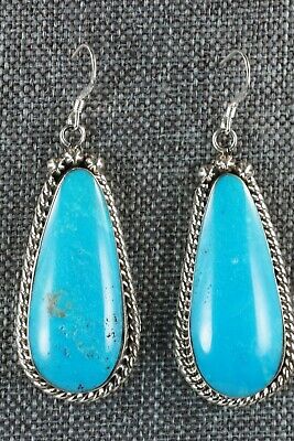 Turquoise and Sterling Silver Earrings - Brandon Belin