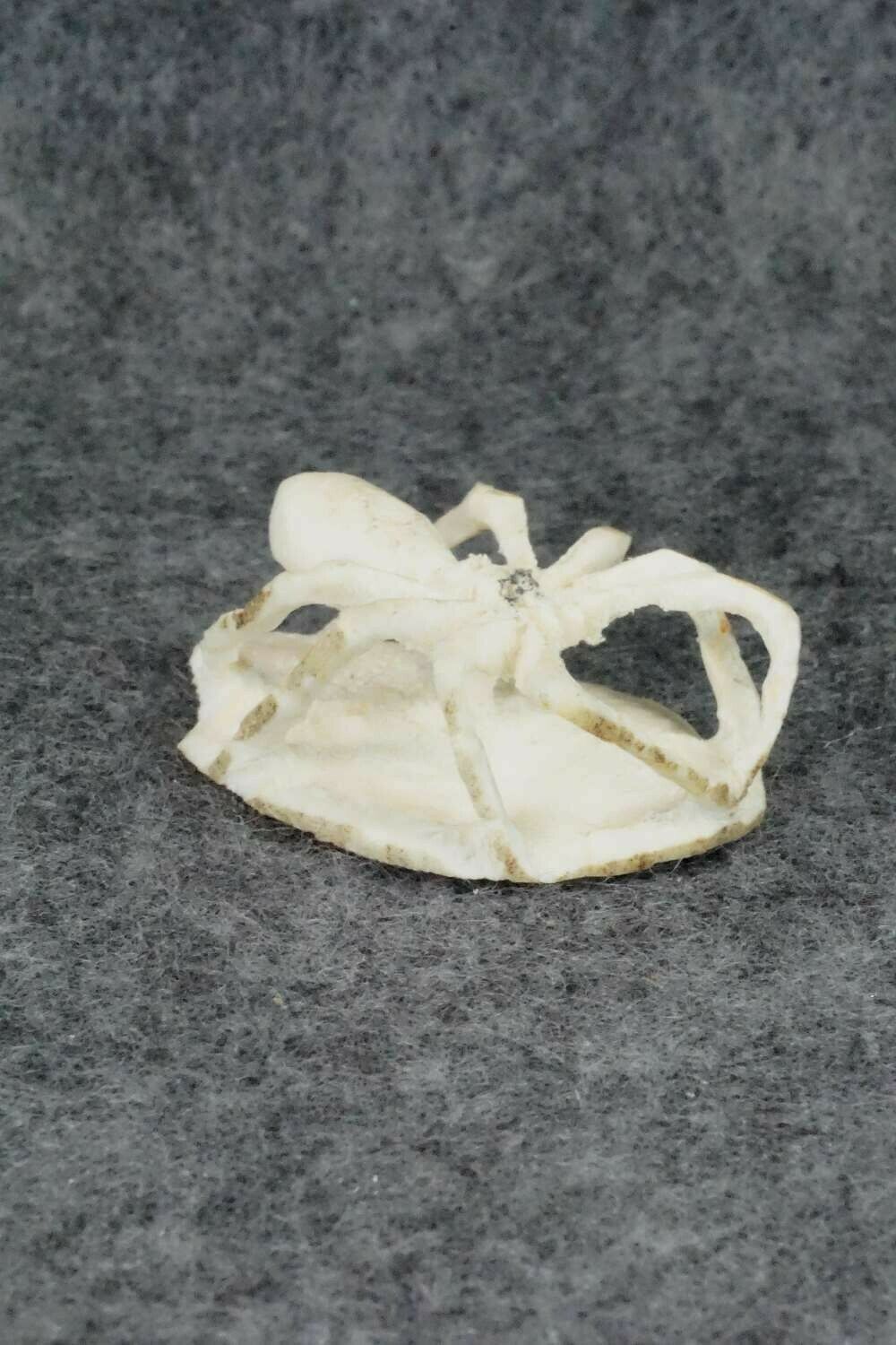 Spider Zuni Fetish Carving - Lewis Malie Jr.